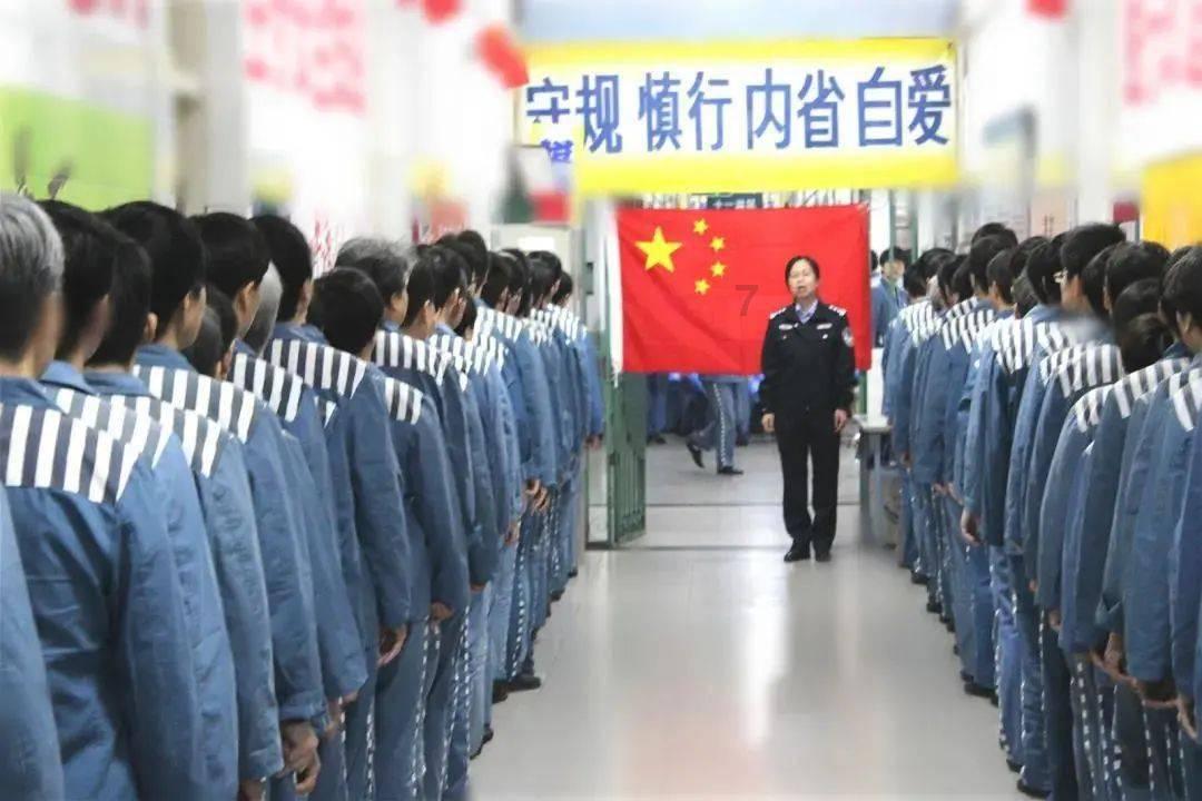虫虫助手下载